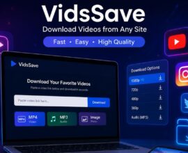 VidsSav: Review Easy and Fast Video Downloads in 2026
